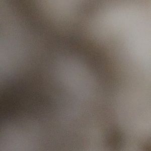 Meet your Posher, Caleb